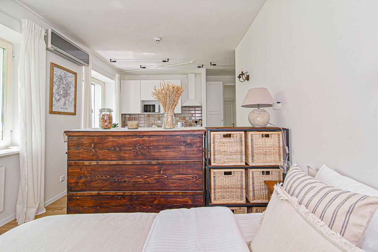 Cozy Studio In The Heart Of Vilnius Old Town Εξωτερικό φωτογραφία