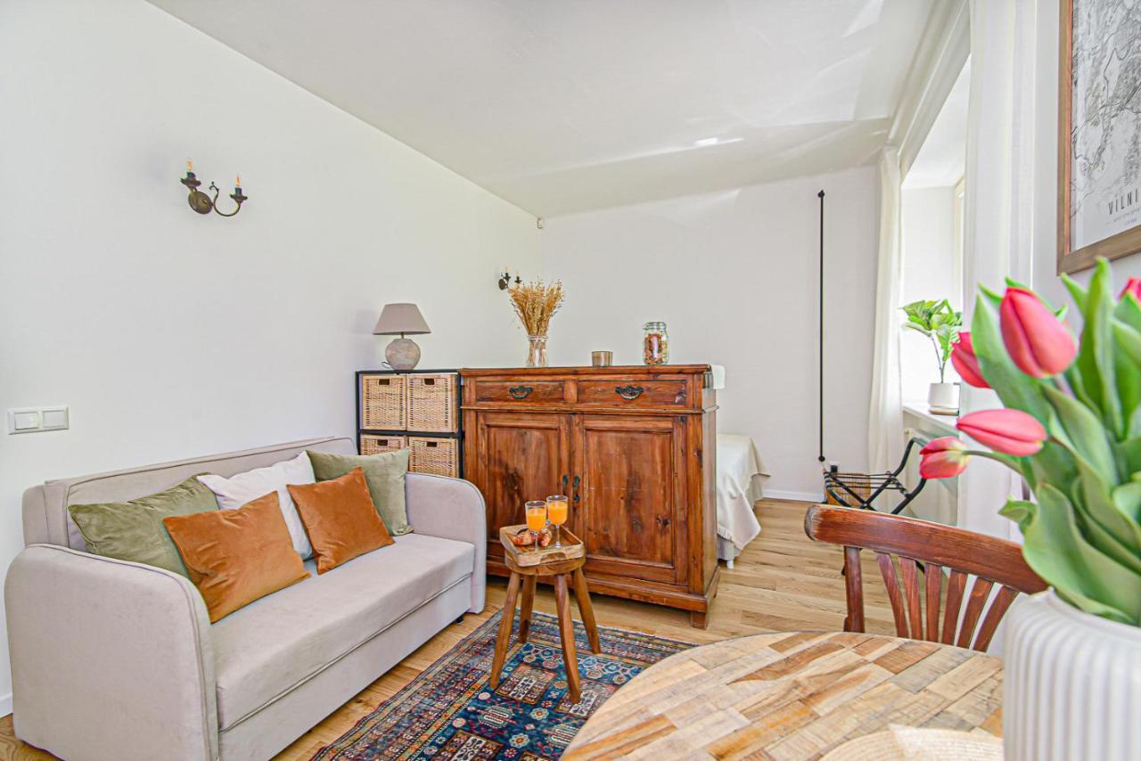 Cozy Studio In The Heart Of Vilnius Old Town Εξωτερικό φωτογραφία